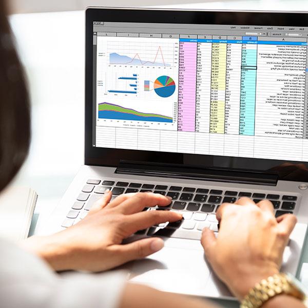 woman working on spreadsheet on laptop